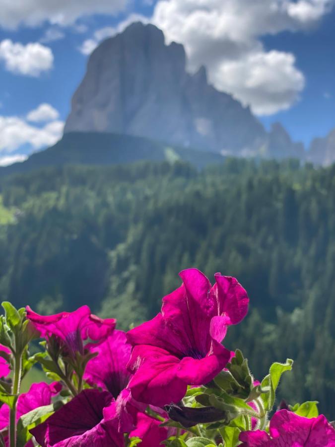 Dorfhotel Beludei Santa Cristina Val Gardena エクステリア 写真