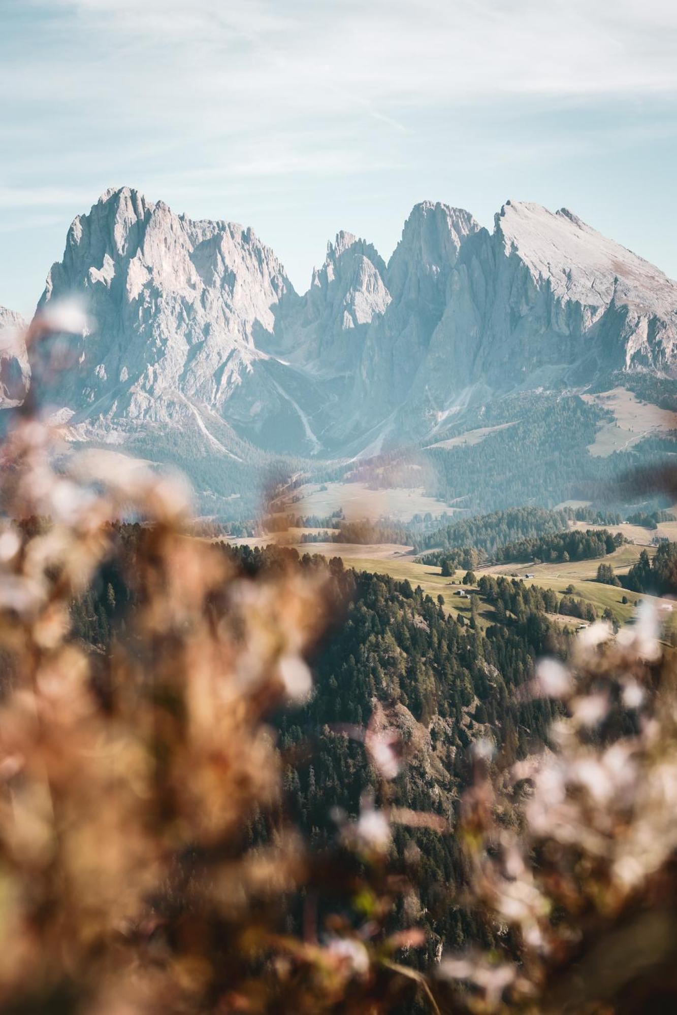 Dorfhotel Beludei Santa Cristina Val Gardena エクステリア 写真
